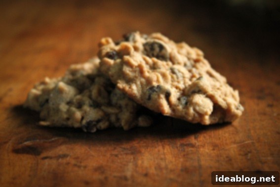 Chewy Oatmeal Currant Goodness 2 Irresistible Oatmeal Currant Cookies