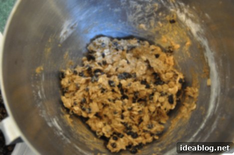 Chewy Oatmeal Currant Goodness 3 Oatmeal Currant Cookie Batter