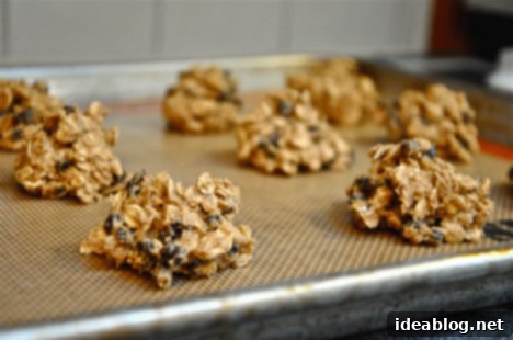 Chewy Oatmeal Currant Goodness 4 Oatmeal Currant Cookies on Baking Sheet