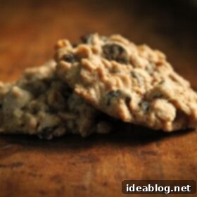 Chewy Oatmeal Currant Goodness 5 Irresistible Oatmeal Currant Cookies