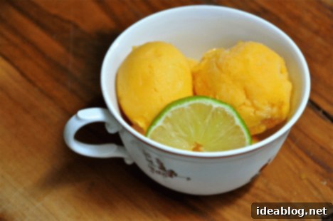 Effortless Champagne Mango Sorbet Delight 2 Homemade Champagne Mango Sorbet in Teacup