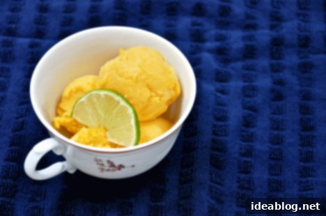 Effortless Champagne Mango Sorbet Delight 4 Homemade Champagne Mango Sorbet in Teacup