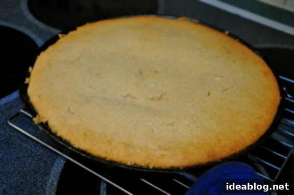 Golden Berry Peach Upside Down Skillet Cake 3 Close-up of Upside Down Berry Peach Skillet Cake with a scoop missing, showing fruit detail