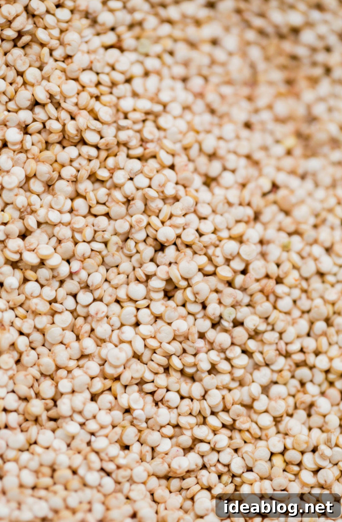 Raw quinoa grains, the healthy foundation for this creamy risotto recipe. Uncooked Quinoa Grains