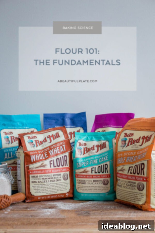 Flour 101: Different Types of Flours for Baking and the Fundamental Differences Between Them. An incredibly helpful baking reference post! Different Types of Flour laid out on a table, including all-purpose, bread, whole wheat, pastry, and cake flour.