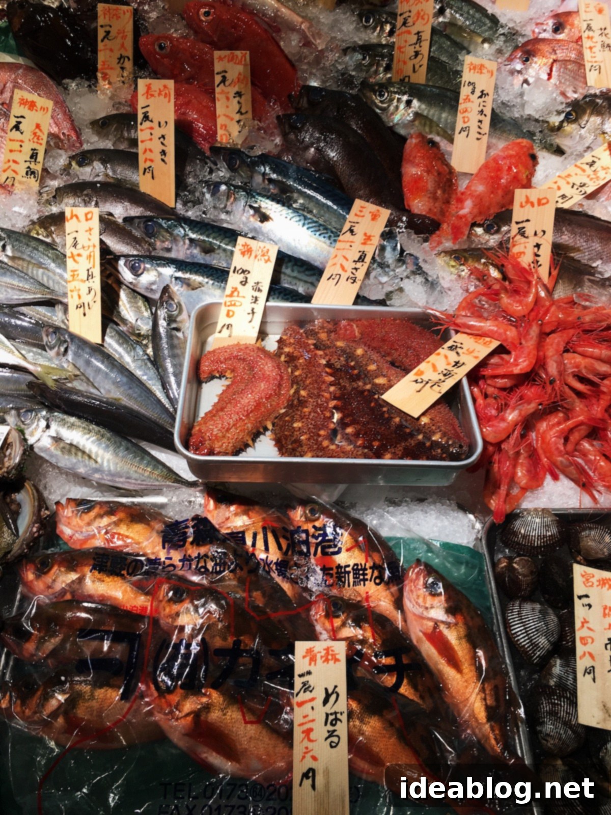 The Weekly Kaleidoscope 3 Tokyo Food Market