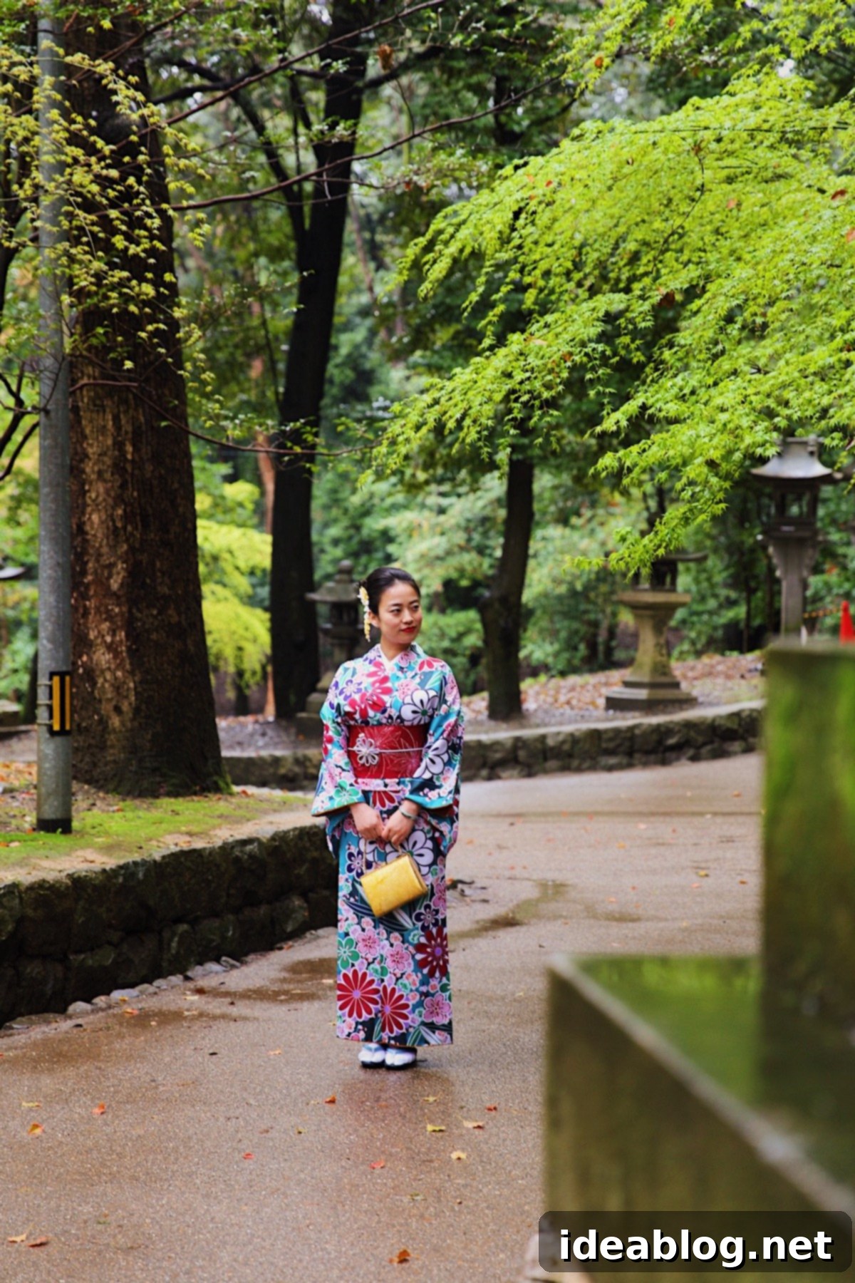The Weekly Kaleidoscope 5 Kyoto Geisha