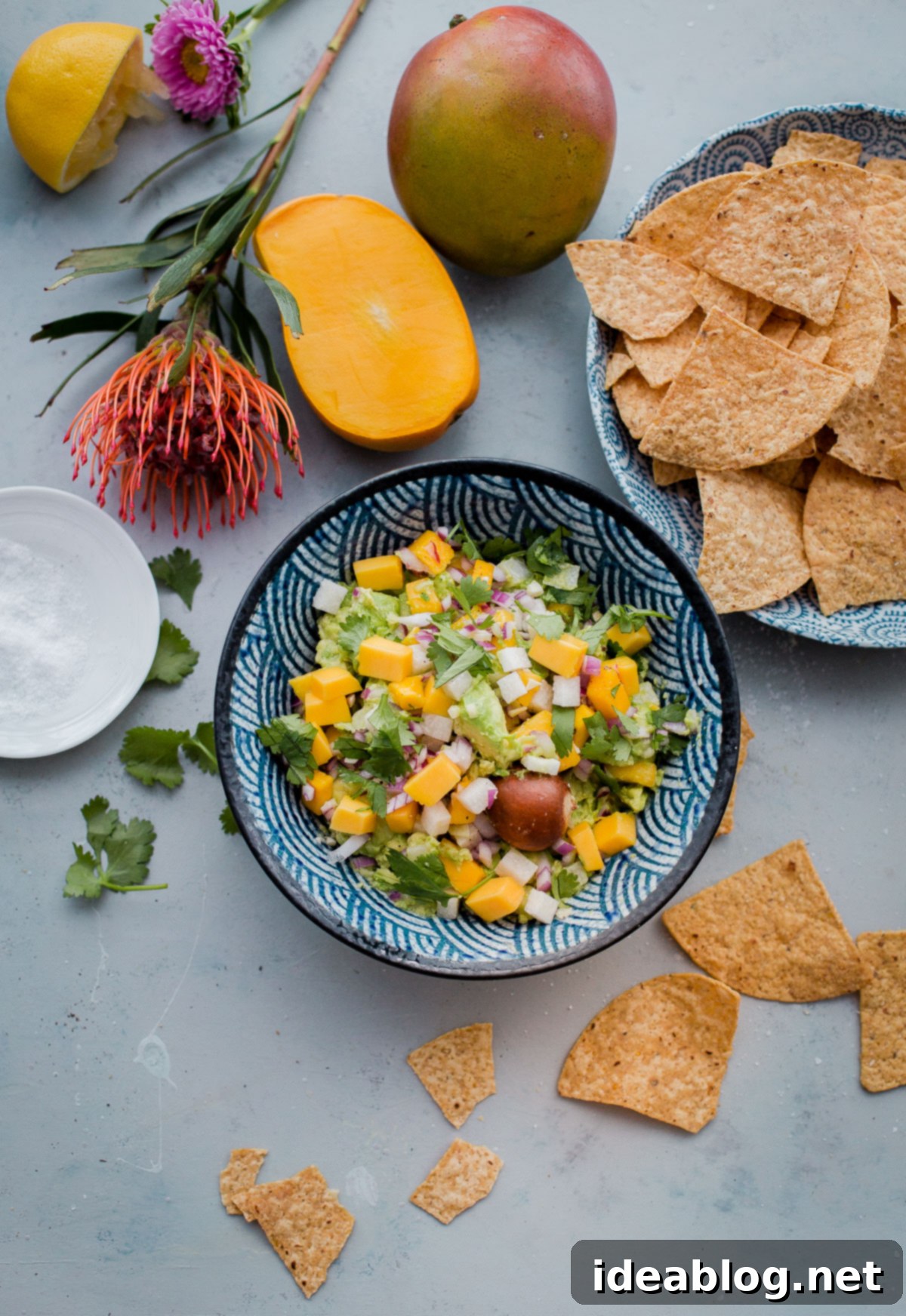 Tropical Mango Guacamole: A delightful fusion of traditional guacamole with juicy mango and crunchy jicama. An ideal appetizer for Cinco de Mayo celebrations, summer parties, or healthy snacking. #guacamole #mango #tropicalrecipe #appetizer #cinco de Mayo #healthyrecipe #vegan Tropical Mango Guacamole, a vibrant and refreshing dip featuring ripe mango, creamy avocado, and crisp jicama. Perfect for Cinco de Mayo or any festive gathering.