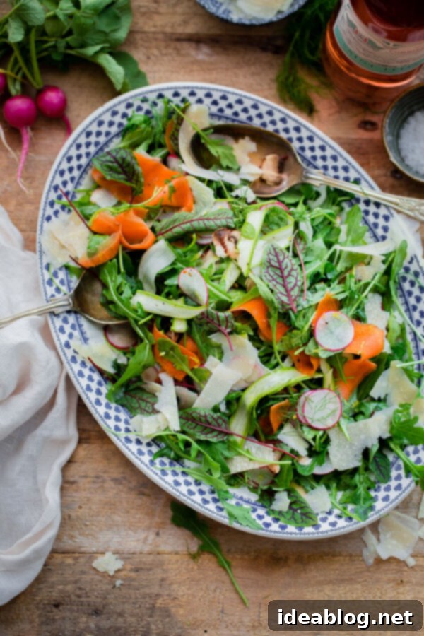 Fresh Shaved Vegetable Salad with Parmesan. An easy arugula salad featuring shaved asparagus, radish, fennel, mushroom, and carrot, dressed with a bright lemon vinaigrette. Topped with Parmigiano-Reggiano for an irresistible salty finish. Perfect for spring and summer meals! #abeautifulplate #arugula #salad #vegetables #parmesan #recipe #vegetarian #glutenfree #keto Vibrant Shaved Vegetable Salad with Parmesan and Lemon Vinaigrette