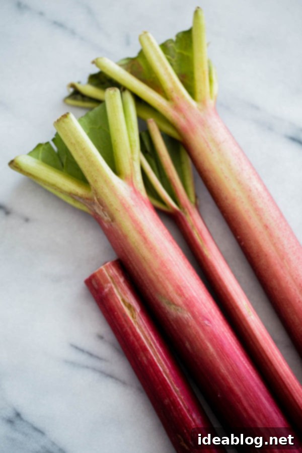 Sunshine Rhubarb Muffins 2 Fresh Rhubarb Stalks