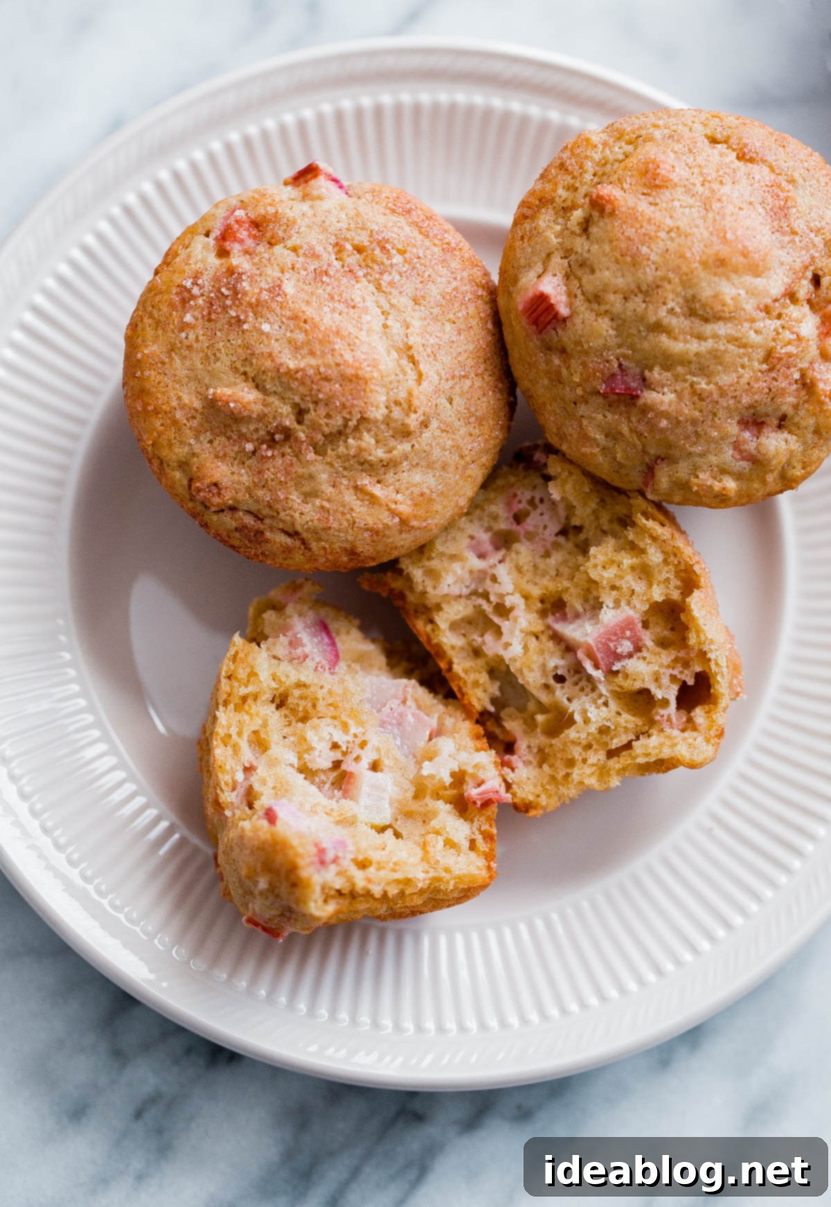 Easy Rhubarb Muffins. Whole grain rhubarb muffin recipe made with Greek yogurt, lightly sweetened with maple syrup, and studded with fresh rhubarb pieces. #muffins #rhubarb #wholegrain #naturallysweetened #maplesyrup Easy Rhubarb Muffin Recipe