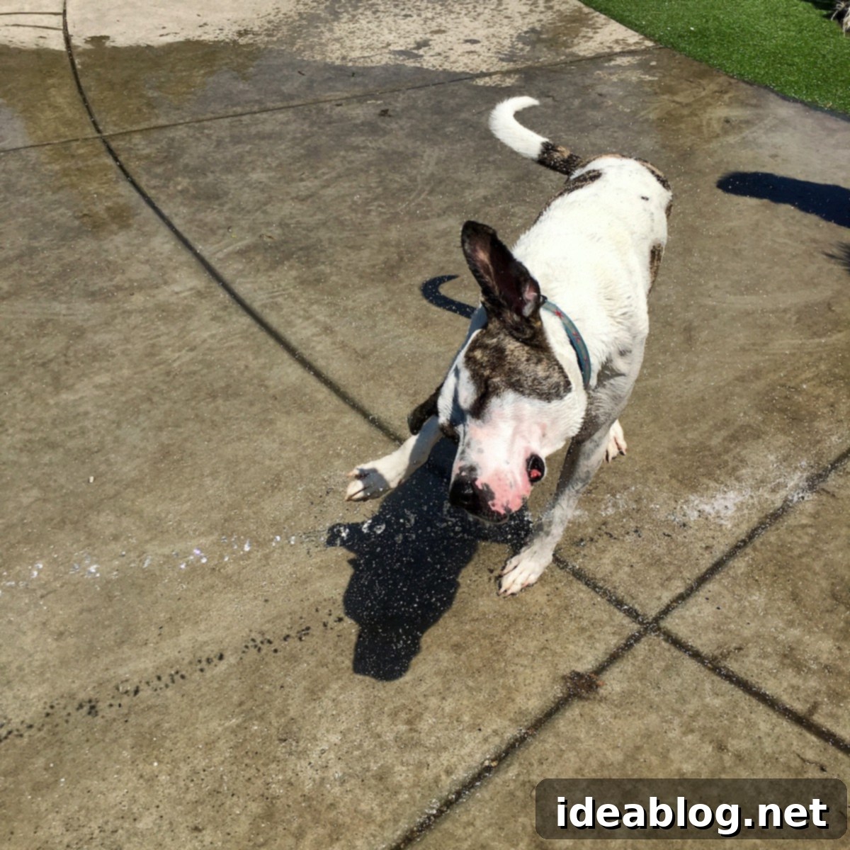 Your Weekly Dose 3 Marley summer