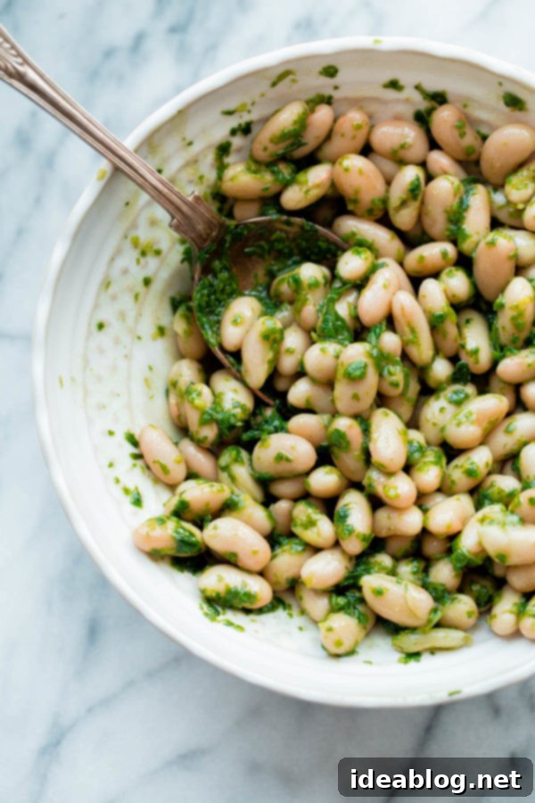 Mediterranean Tuna Sandwich - a modern, fresh and dairy free Italian tuna sandwich made with pesto cannellini beans, olive oil packed Albacore tuna, and peppery arugula! #abeautifulplate #tunafish #sandwich #dairyfree #recipe #easyrecipes #italian Pesto Cannellini Beans