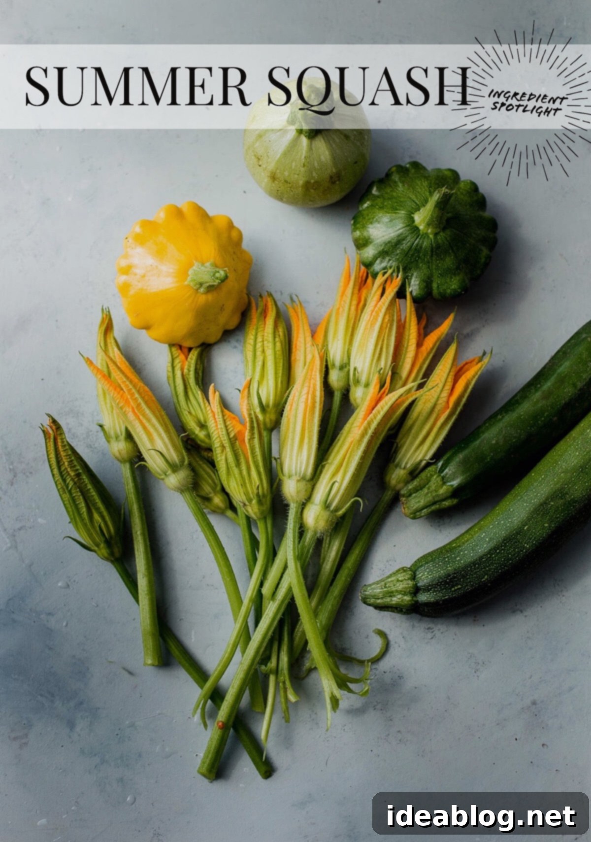 Making the Most of Summer Squash 2 Ingredient Spotlight: Summer Squash. Everything you need to know about this favorite summer vegetable!