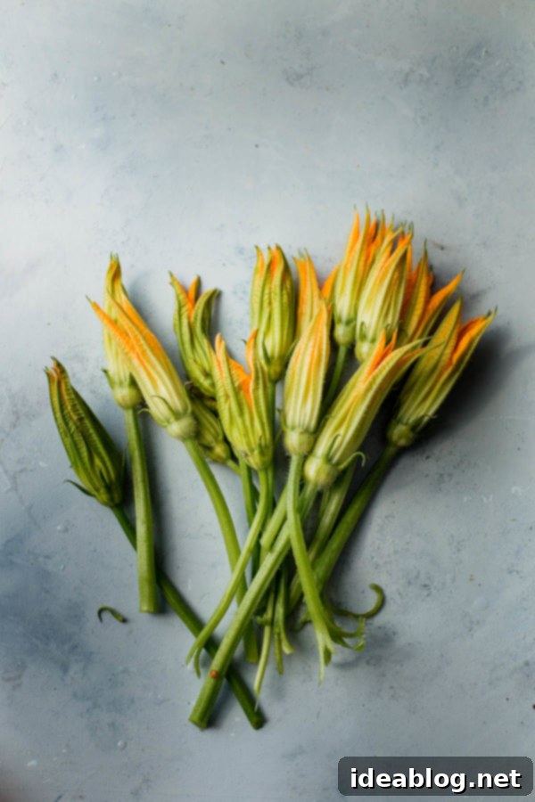 Making the Most of Summer Squash 6 Zucchini Blossoms