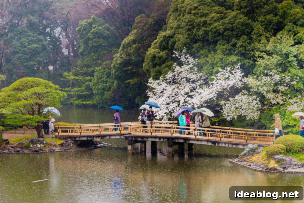 Tokyo: The Ultimate Guide 14 Shinjuku Gyoen National Garden