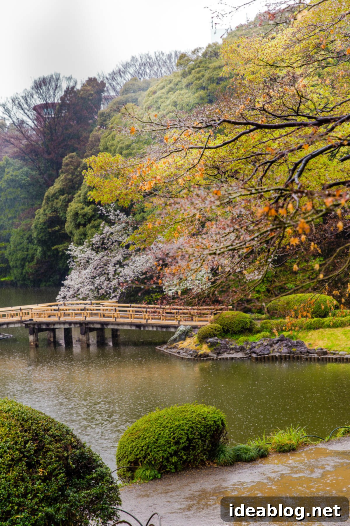 Tokyo: The Ultimate Guide 15 Shinjuku Gyoen National Garden