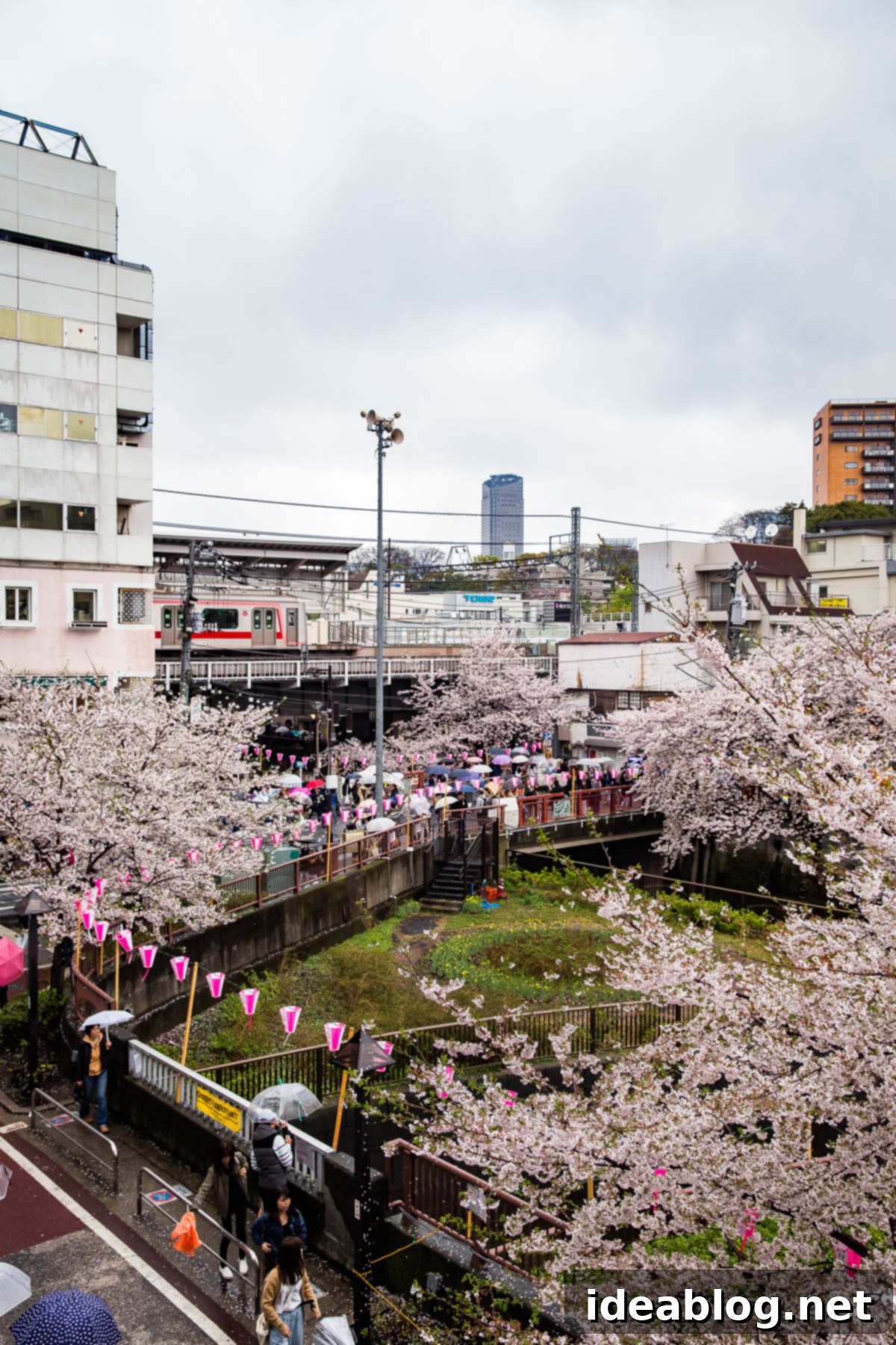 Tokyo: The Ultimate Guide 17 Tokyo Canal