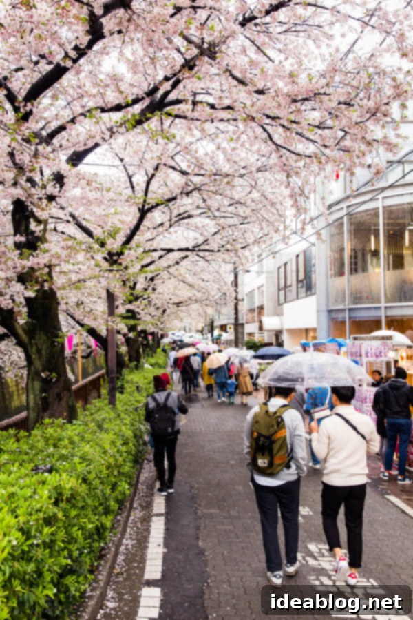Tokyo: The Ultimate Guide 20 Nakameguro Canal