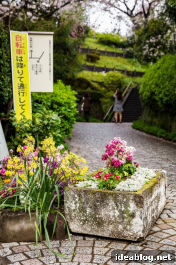 Tokyo: The Ultimate Guide 24 Tokyo Garden