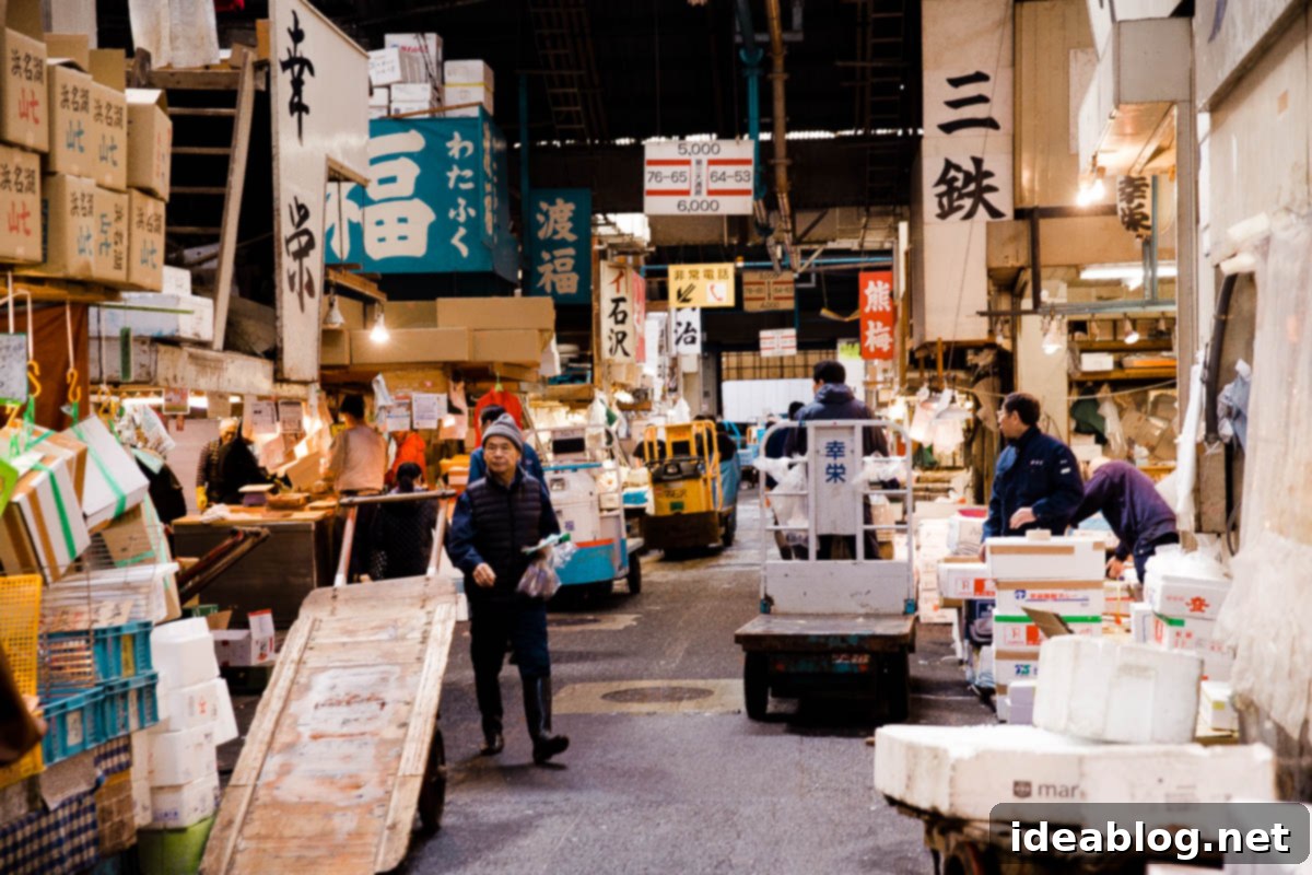 Tokyo: The Ultimate Guide 32 Tsukiji Fish Market