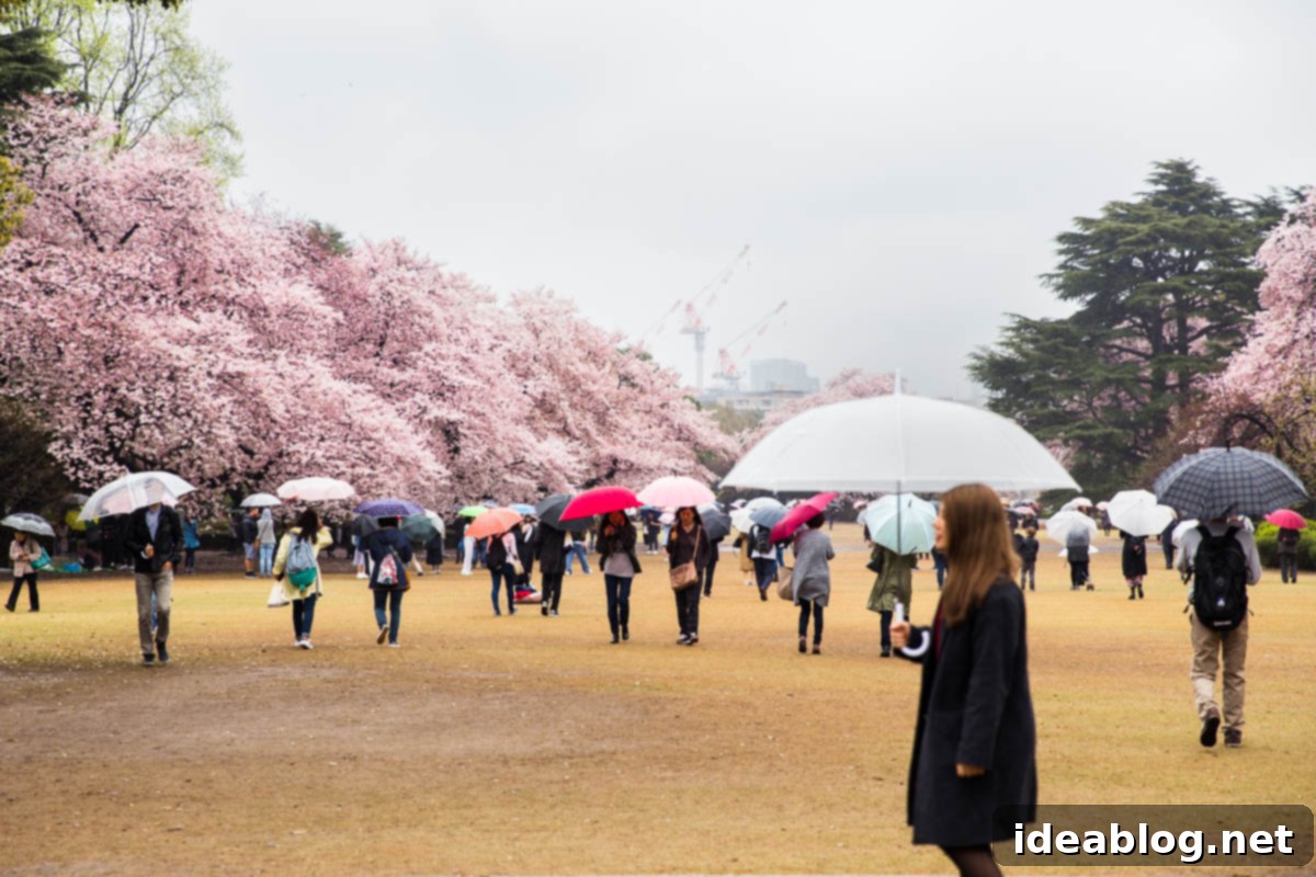 Tokyo: The Ultimate Guide 5 Shinjuku Gyoen National Garden