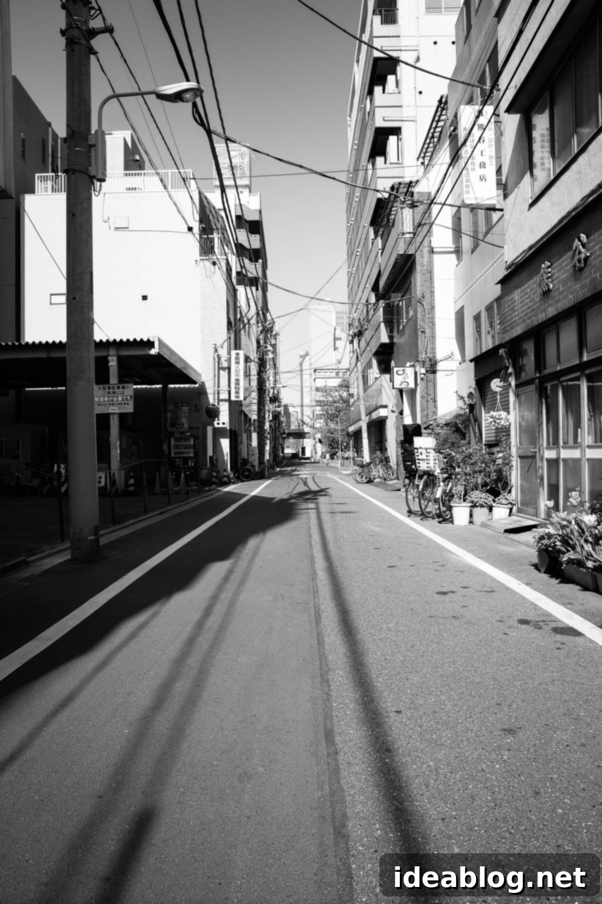 Tokyo: The Ultimate Guide 54 Tokyo Street