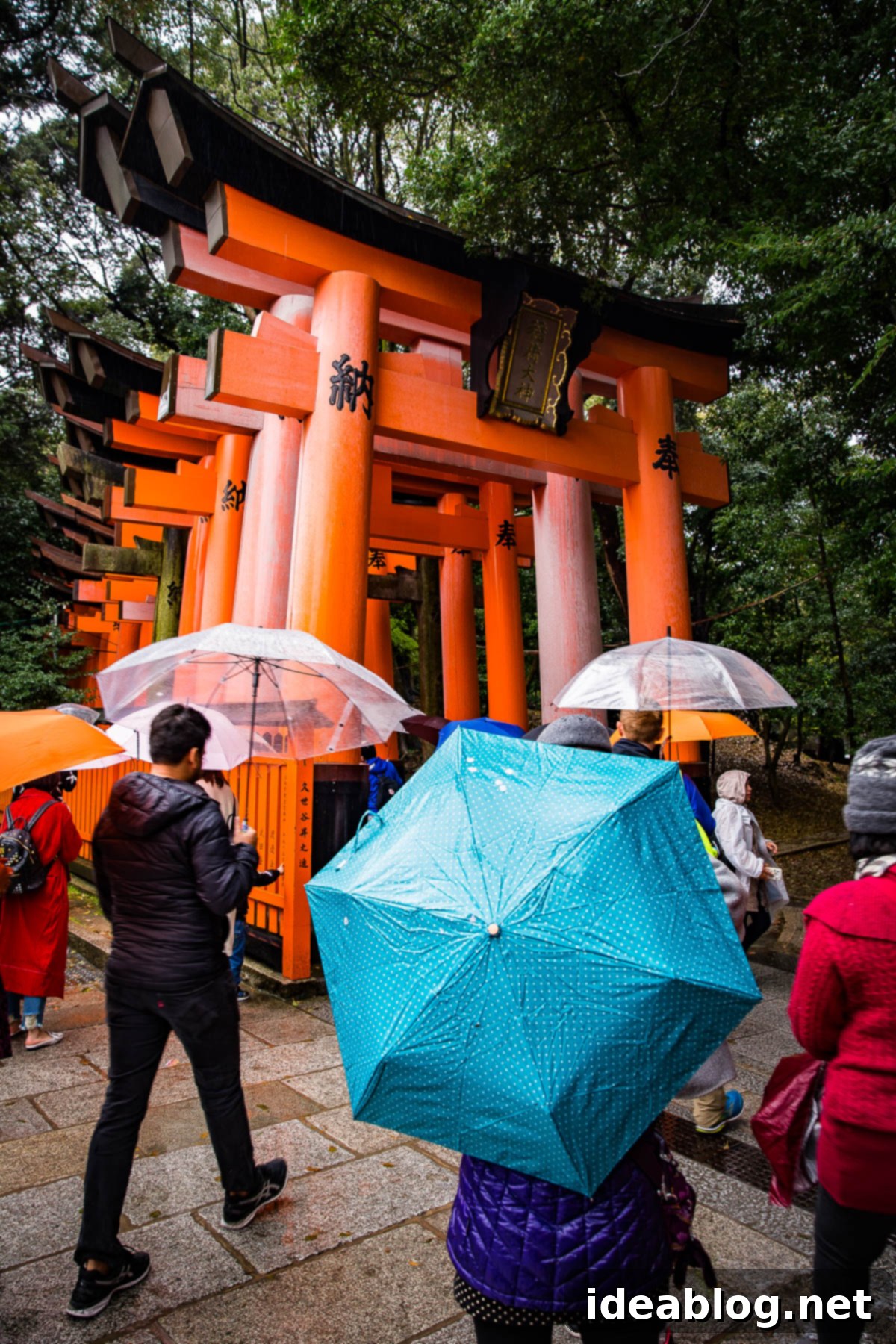 Unveiling Kyoto A Journey Through Tradition 12 Fushimi Inari Shrine