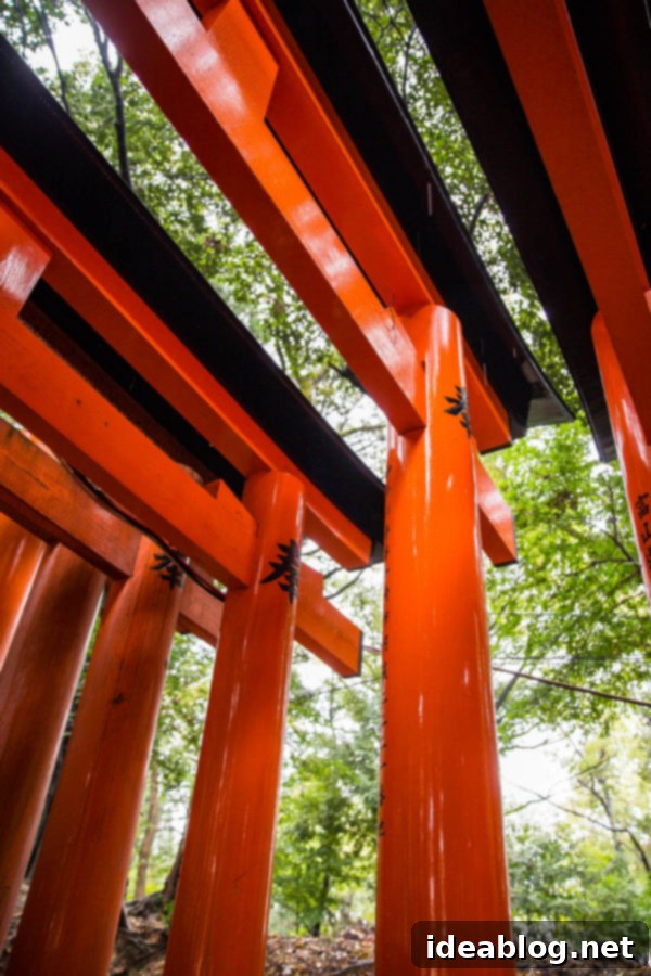 Fushimi Inari Shrine
