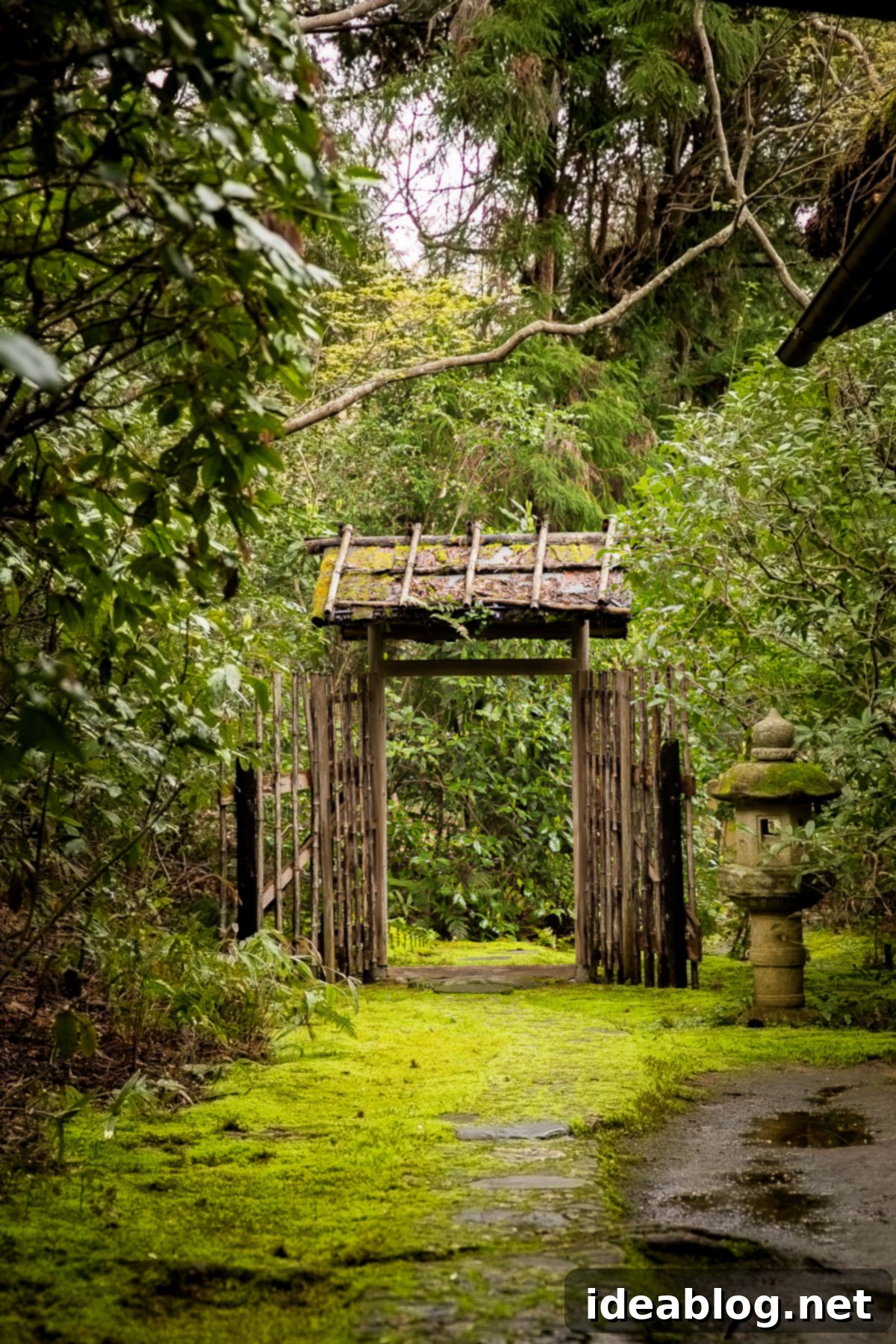 Unveiling Kyoto A Journey Through Tradition 24 Okocho Sansa Villa and Garden
