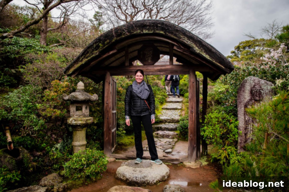 Unveiling Kyoto A Journey Through Tradition 25 Okocho Sansa Villa and Garden