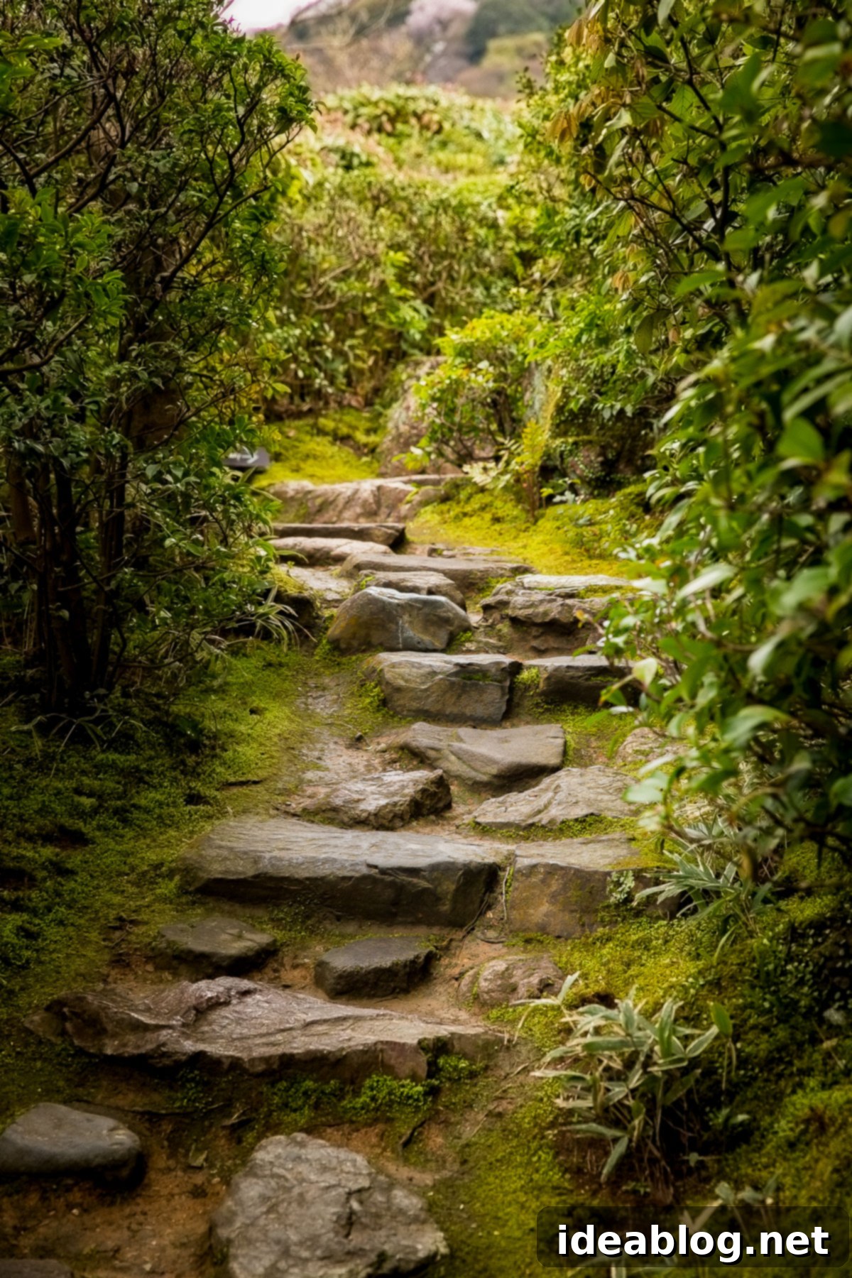 Unveiling Kyoto A Journey Through Tradition 26 Okocho Sansa Villa and Garden