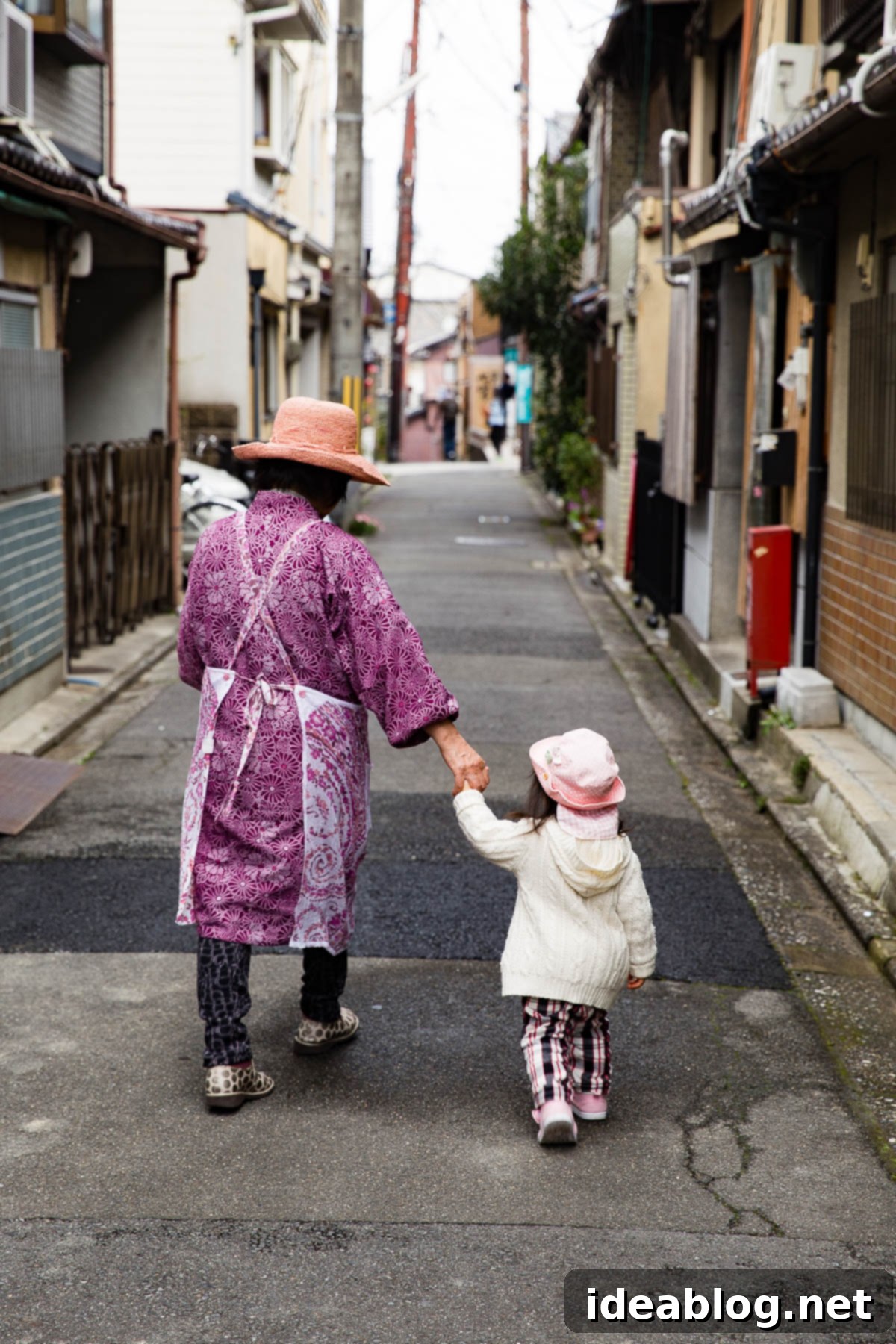 Unveiling Kyoto A Journey Through Tradition 4 Japanese Family