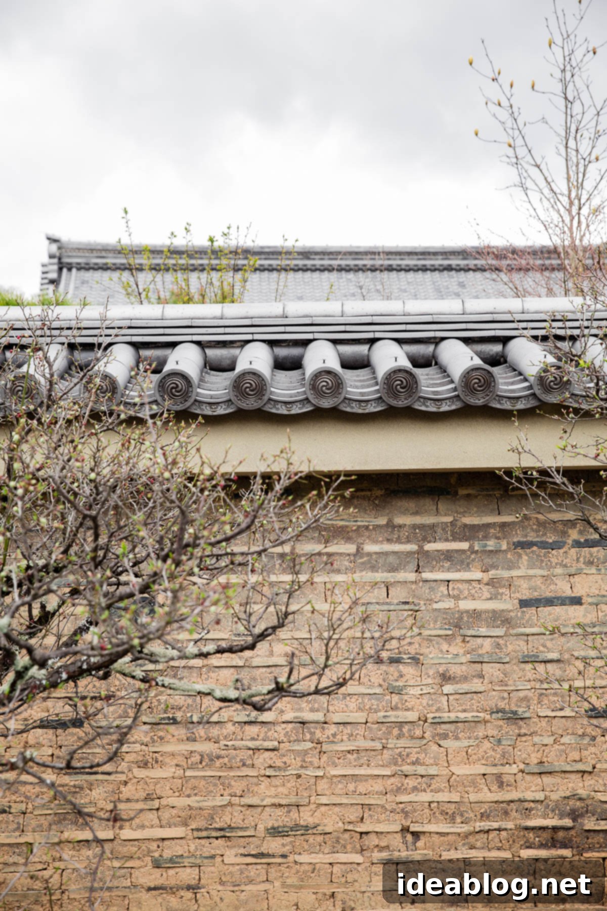 Unveiling Kyoto A Journey Through Tradition 35 Japanese Wall