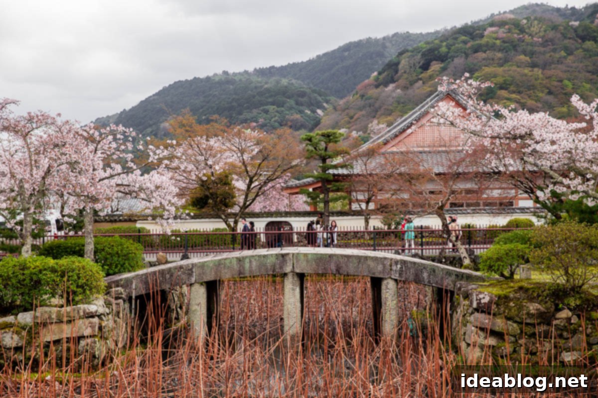 Unveiling Kyoto A Journey Through Tradition 38 Japanese Bridge