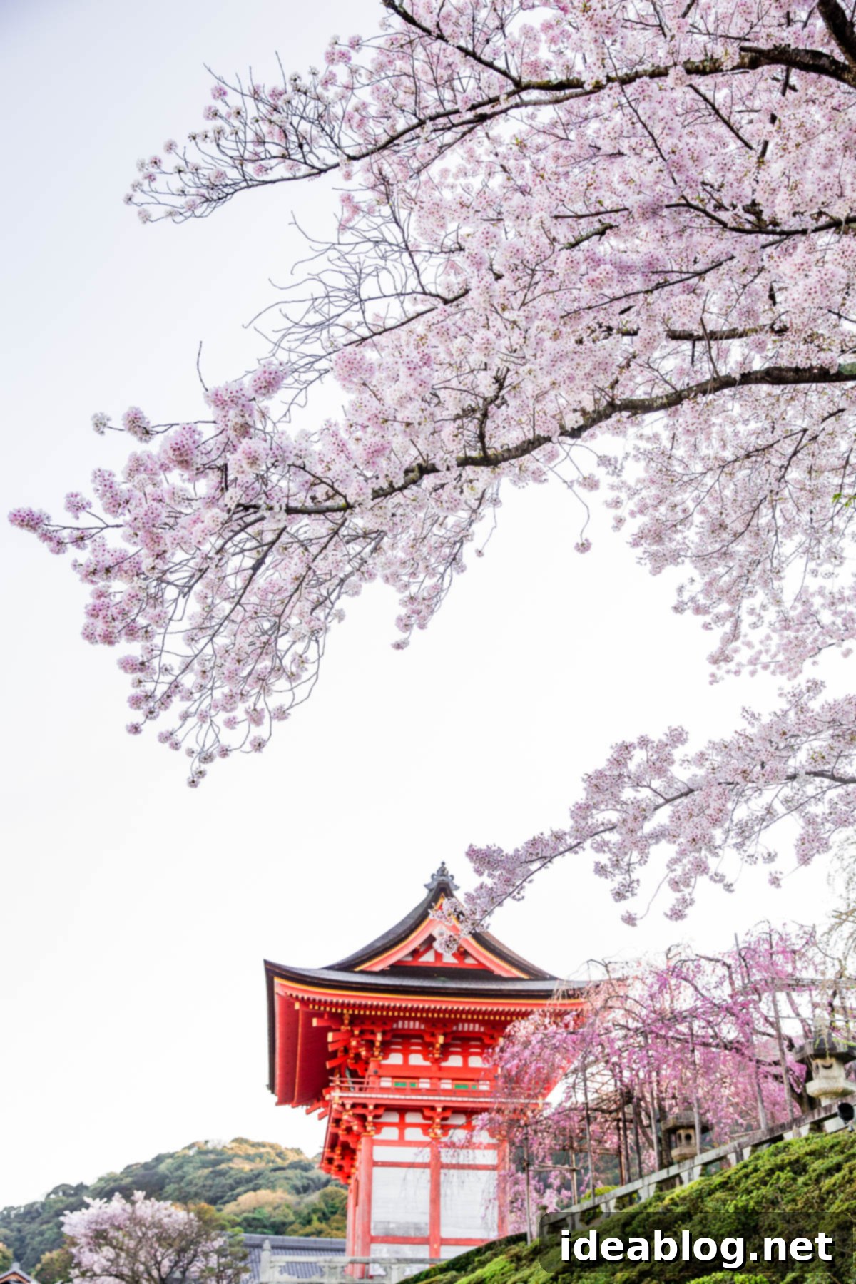 Unveiling Kyoto A Journey Through Tradition 52 Kiyomizu-dera Temple