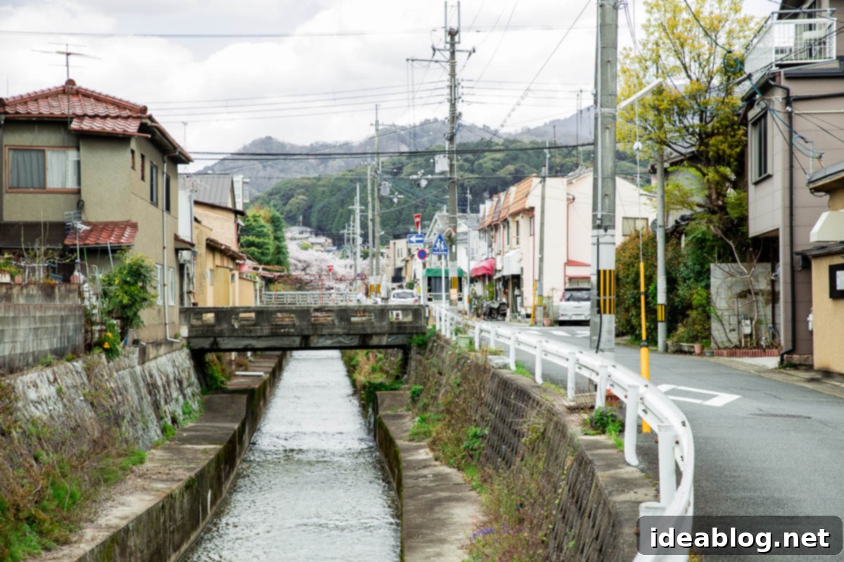 Unveiling Kyoto A Journey Through Tradition 66 Kyoto Neighborhood