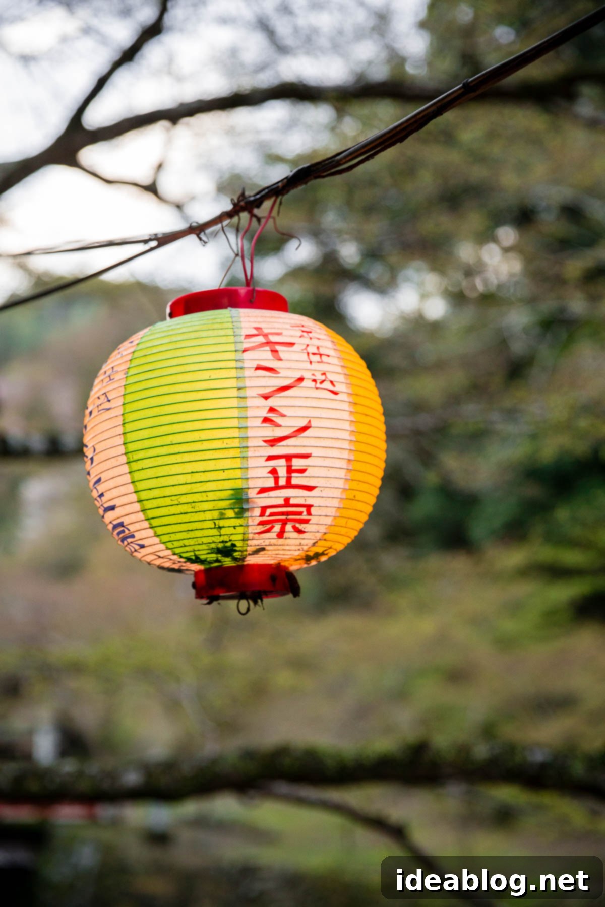 Unveiling Kyoto A Journey Through Tradition 78 Japanese Lantern