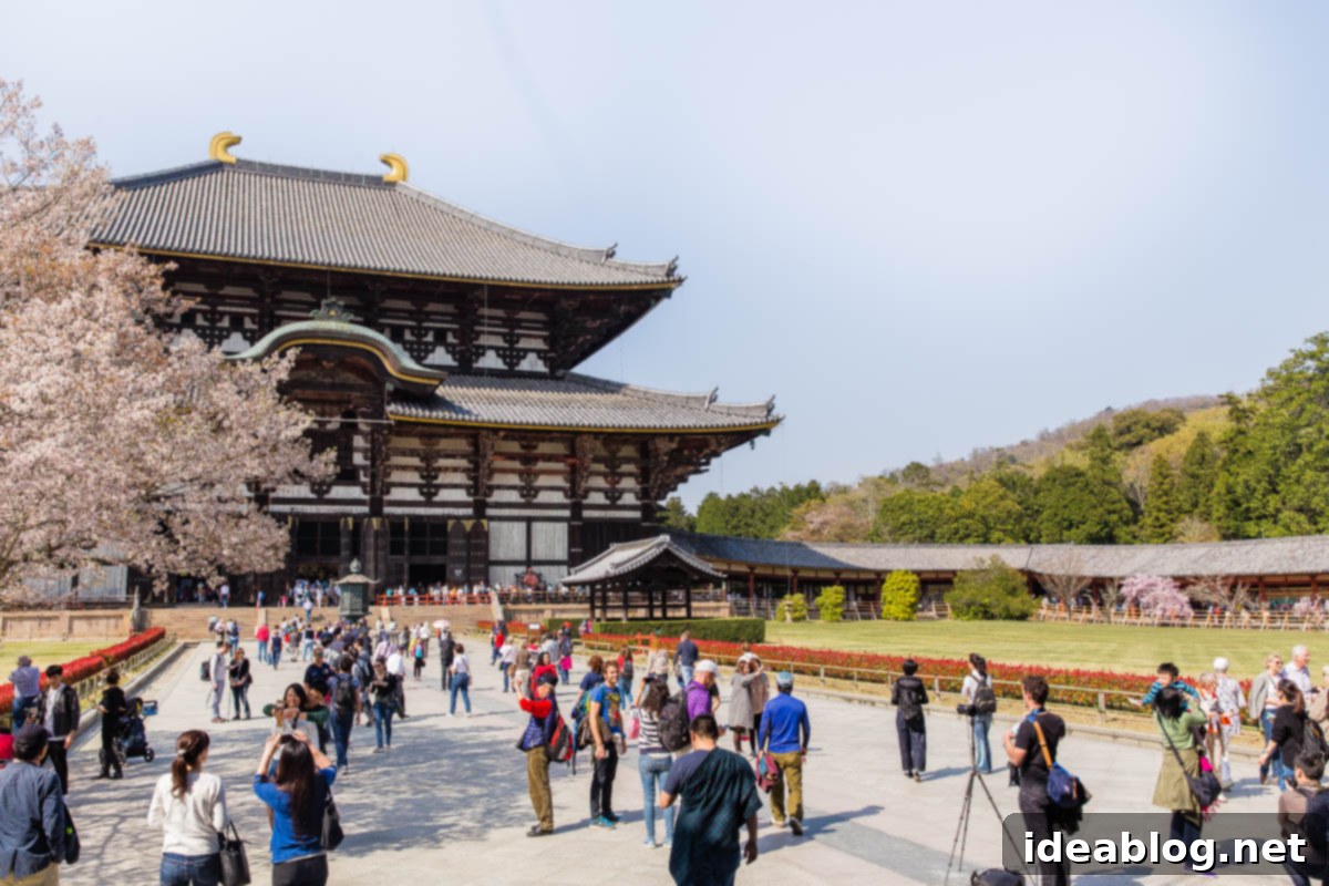 Unveiling Kyoto A Journey Through Tradition 89 Tōdai-ji