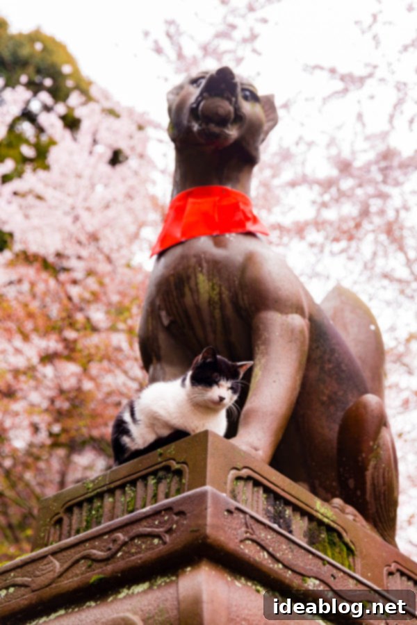 Fushimi Inari Shrine