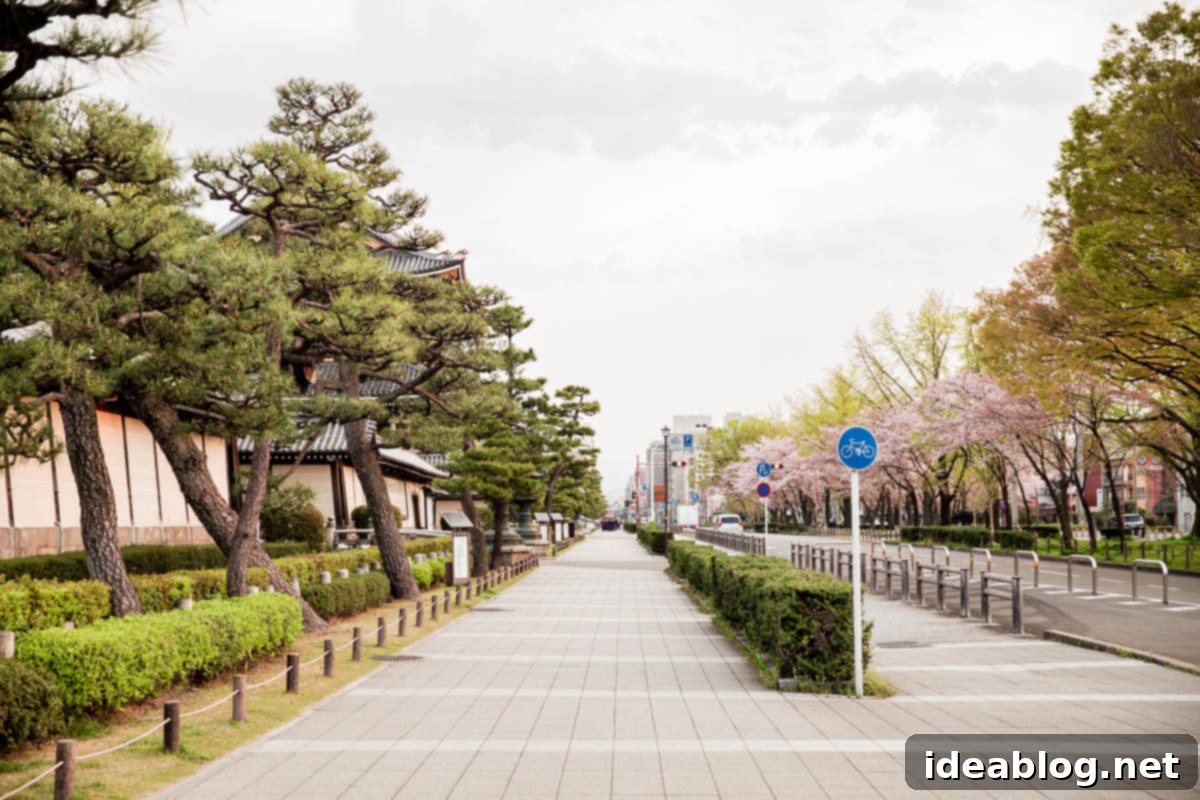 Unveiling Kyoto A Journey Through Tradition 95 Kyoto Streets