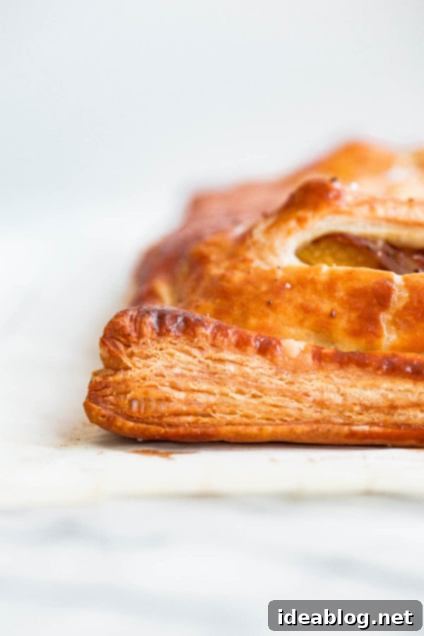 Sweet & Savory Butternut Radicchio Feta Tart 7 Savory Butternut Squash Pie, a vibrant and appealing main dish