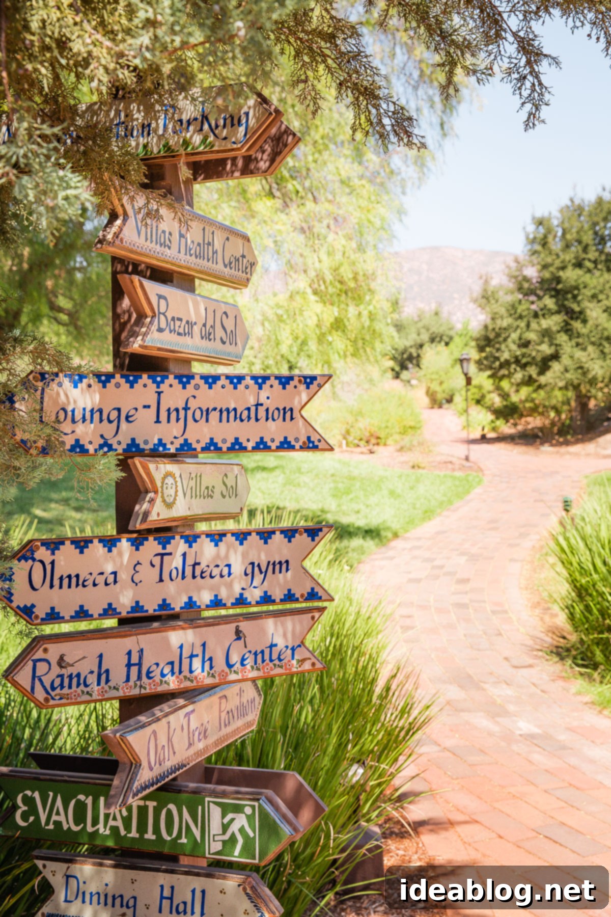 Rancho La Puerta Rediscovered: 5 Practical Wellness Insights 2 A serene view of Rancho La Puerta, embodying wellness, health, and travel. A perfect retreat in Mexico.