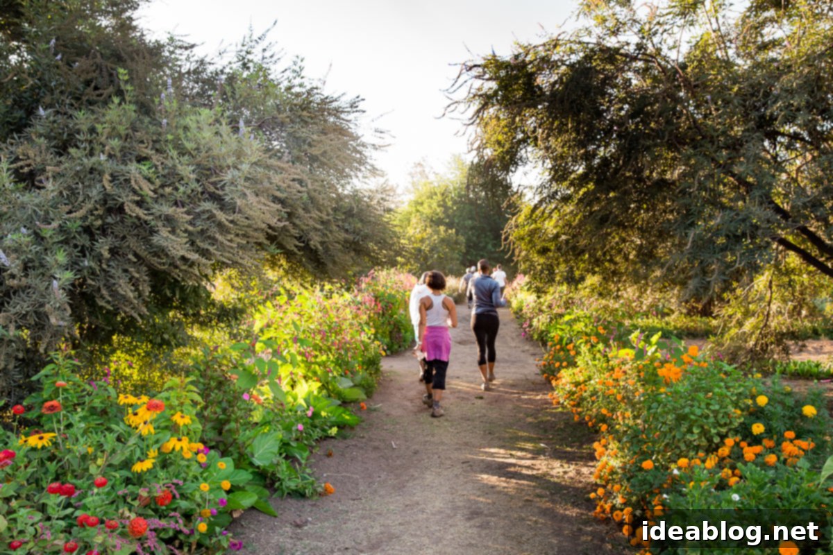 Rancho La Puerta Rediscovered: 5 Practical Wellness Insights 15 The serene beauty of Rancho La Puerta's organic garden.
