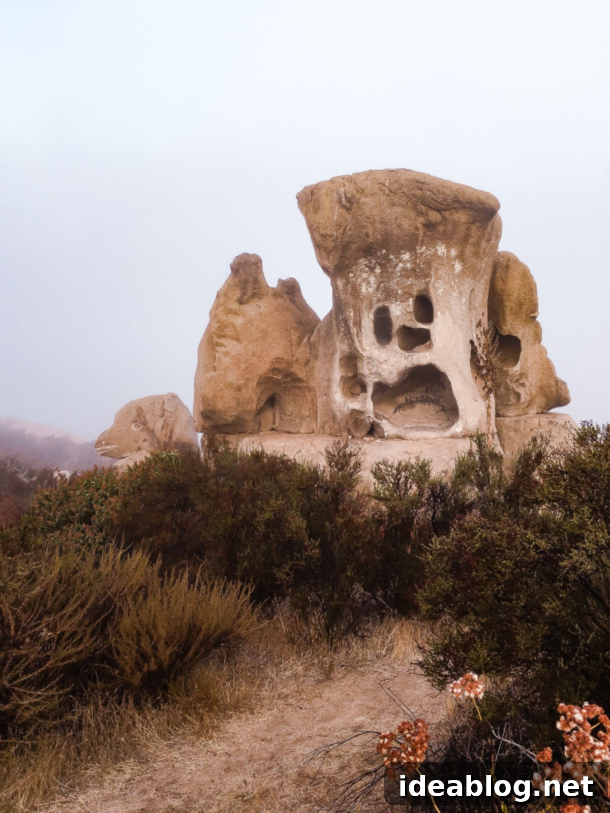 Rancho La Puerta Rediscovered: 5 Practical Wellness Insights 16 A scenic hike at Rancho La Puerta, perfect for connecting with nature.