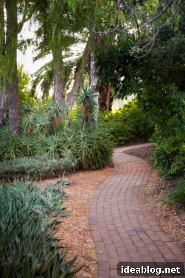 Rancho La Puerta Rediscovered: 5 Practical Wellness Insights 7 Rancho La Puerta, a premier wellness and spa destination.