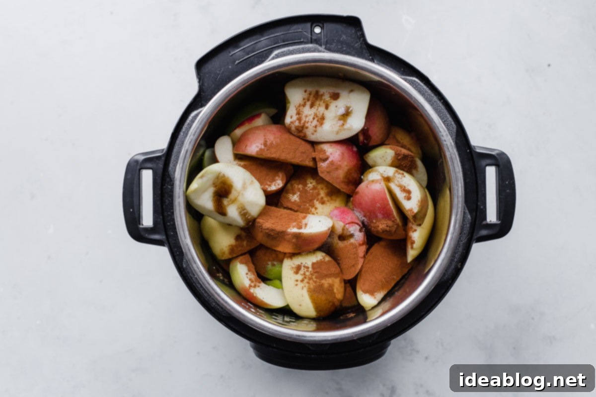 Homemade Instant Pot Applesauce 9 How to Make Apple Sauce In An Instant Pot