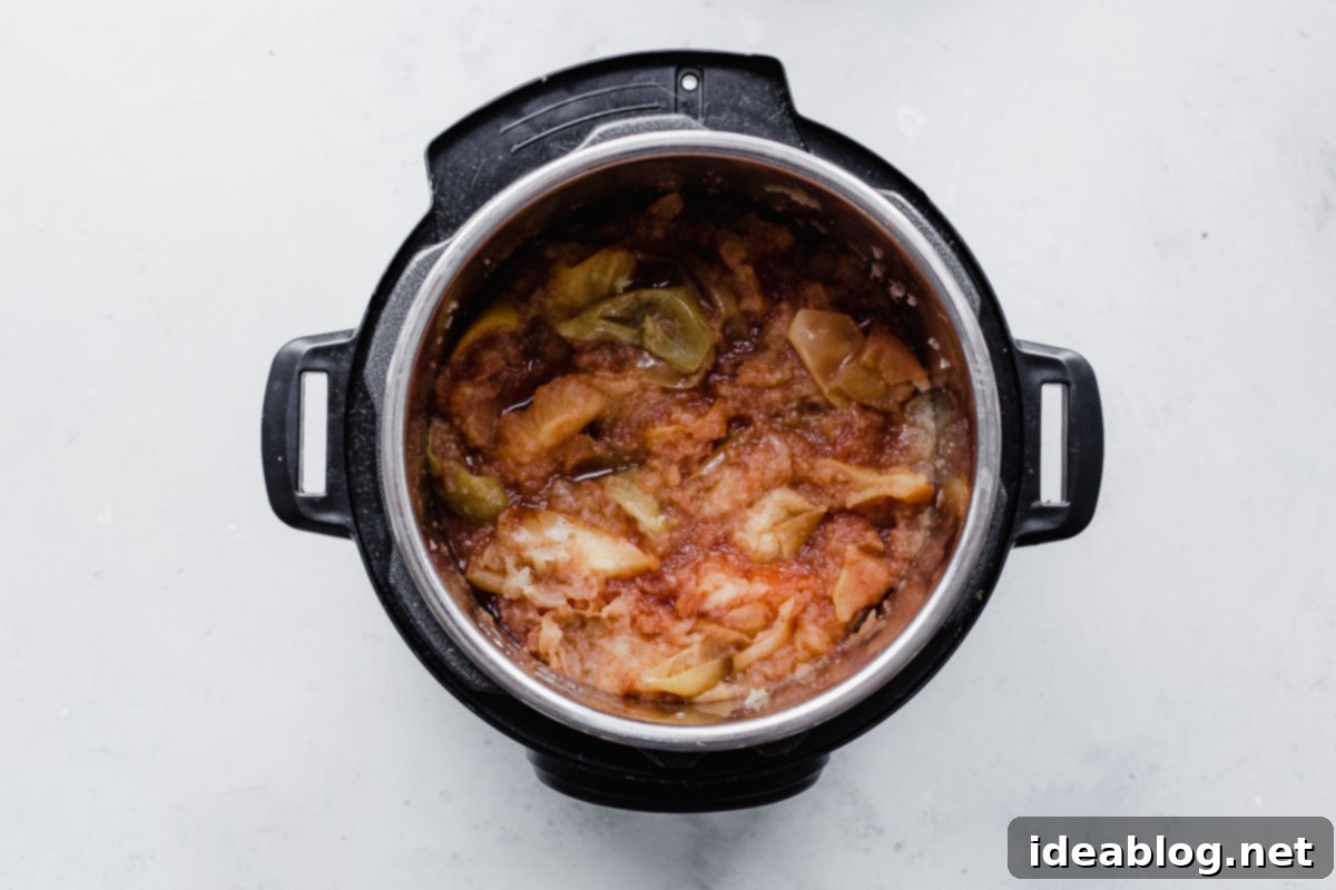 Homemade Instant Pot Applesauce 6 Blending Instant Pot applesauce with an immersion blender