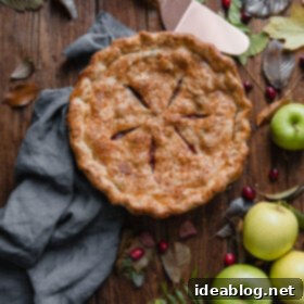Autumn's Apple Cranberry Delight 14 Apple Cranberry Pie