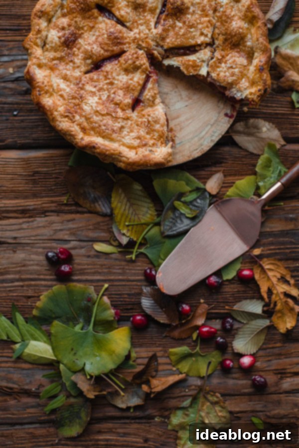 Autumn's Apple Cranberry Delight 7 Another angle of the gorgeous Apple Cranberry Pie, showing crust detail